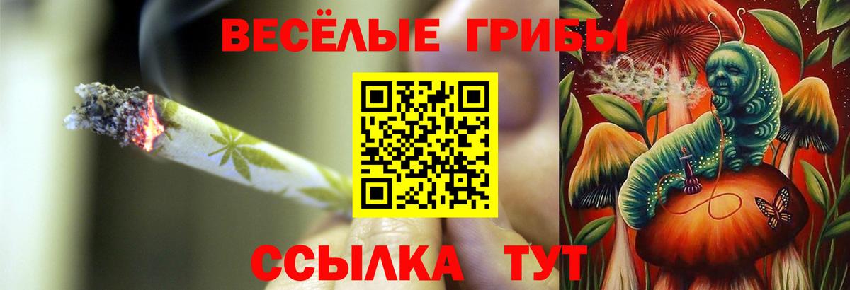 Галлюциногенные грибы прущие грибы  Вход с VPN  Кушва 